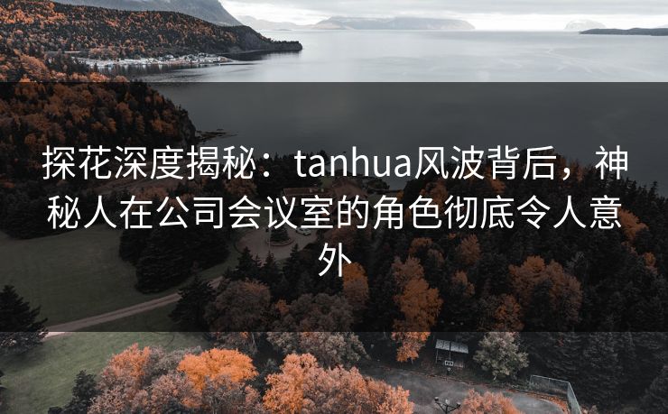 探花深度揭秘：tanhua风波背后，神秘人在公司会议室的角色彻底令人意外