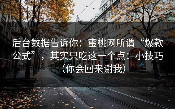 后台数据告诉你:蜜桃网所谓“爆款公式”,其实只吃这一个点:小技巧(你会回来谢我) 后台数据告诉你:蜜桃网所谓“爆款公式”,其实只吃这一个点:小技巧(你会回来谢我)